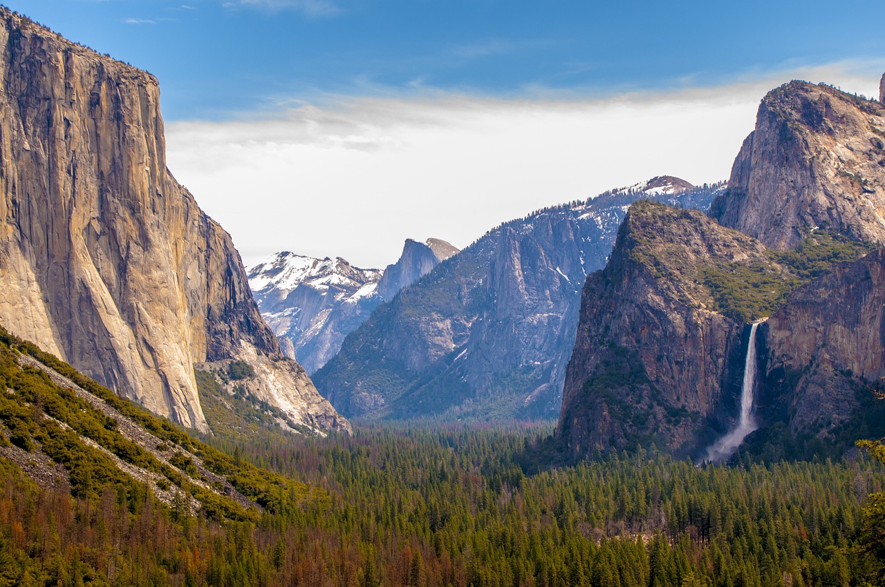 The Best Trails for Wildflower Viewing in Yosemite